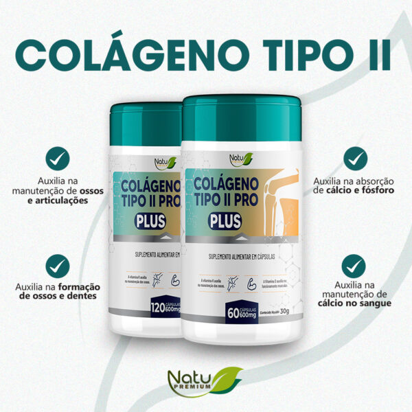 Colágeno tipo II Pro Plus - 60 Caps - Image 2